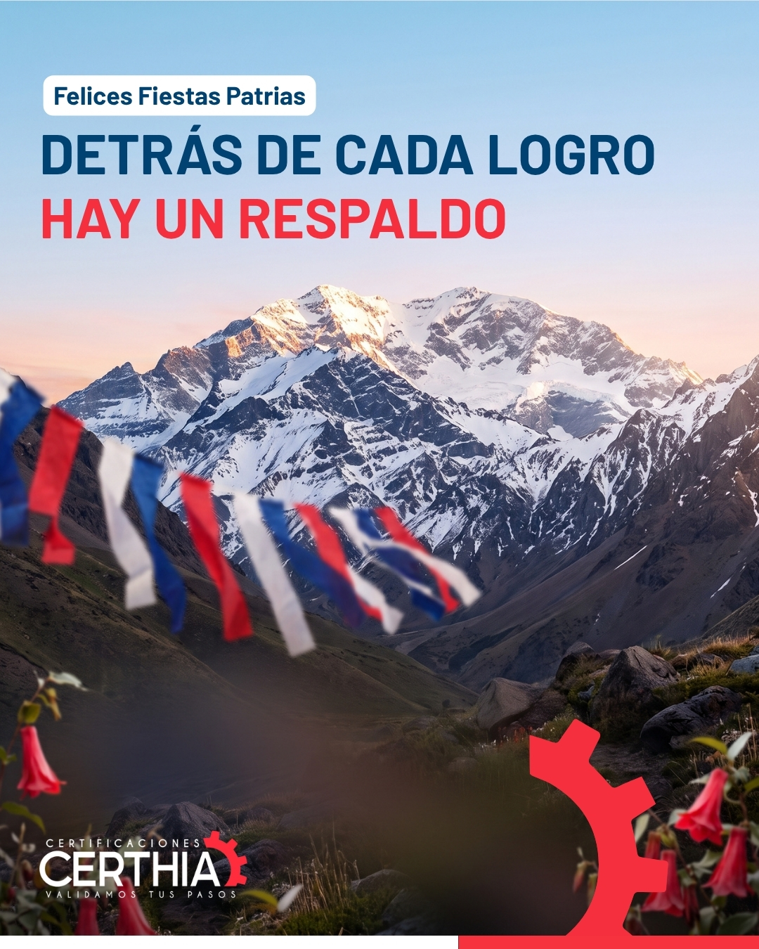 Diseño de contenidos para redes sociales de Certhia - Publicación 4