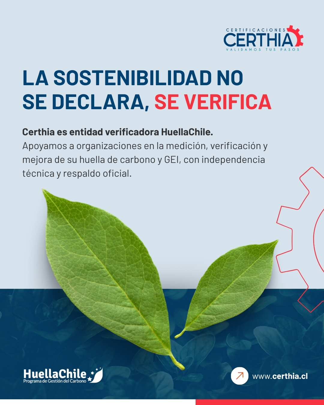 Diseño de contenidos para redes sociales de Certhia - Publicación 8