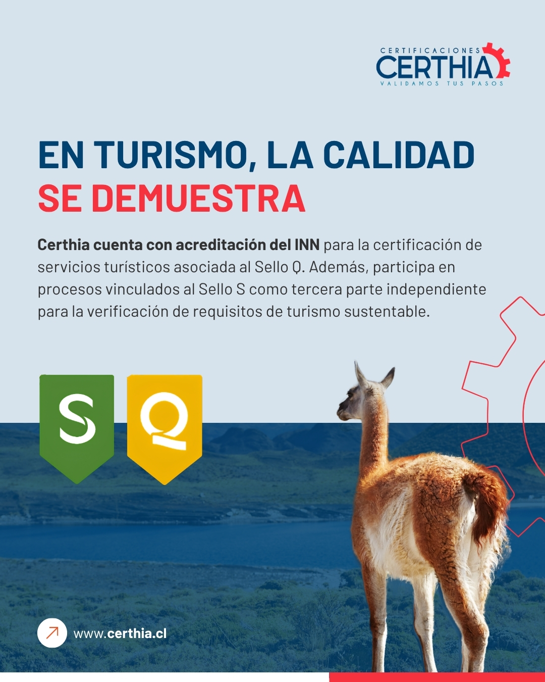 Diseño de contenidos para redes sociales de Certhia - Publicación 9
