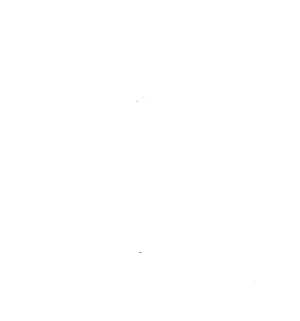 Charcutería La Vikinga