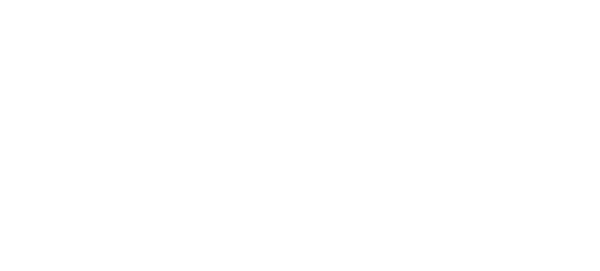 Constructora Black Bear Builders